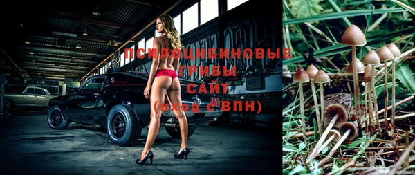 МДПВ Карпинск