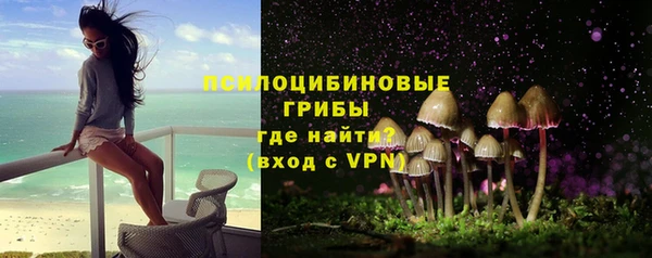 a pvp Касимов