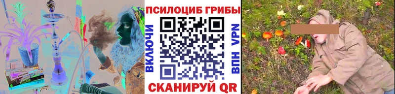 Купить  Белебей  Галлюциногенные грибы Psilocybe 